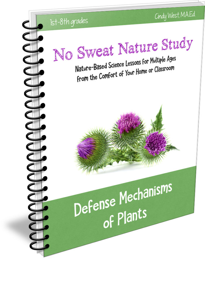 No Sweat Nature Studies are the perfect thing for a lazy homeschool nature study mom