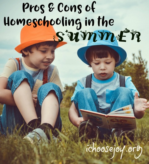 Pros and Cons of Homeschooling in the Summer