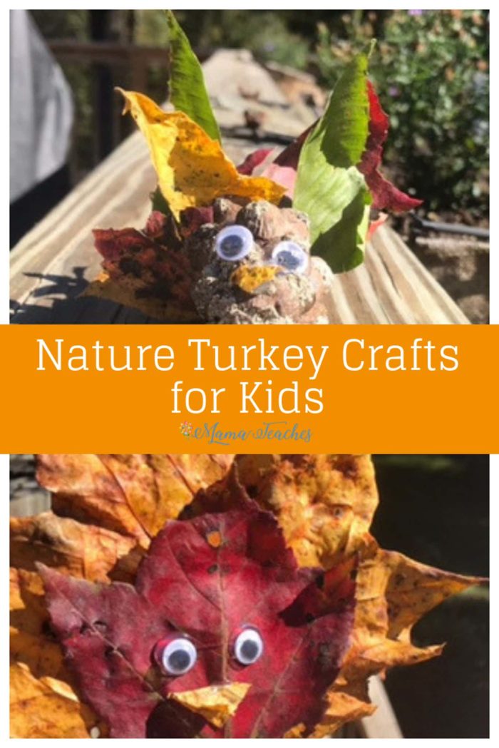 Nature Turkey Crafts for Kids #Thanksgiving #craftsforkids #activitiesforkids