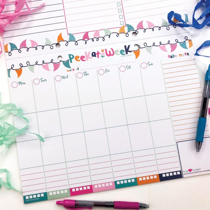 This amazing planner set is a no-brainer with this deal! Get an 18-month "Reminder Binder" planner, desk calendar, and a set of stickers! #planner #plannergirl #ichoosejoyblog #organization