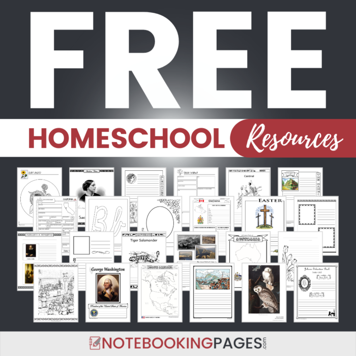 Sign up now to receive over 3000 notebooking pages for free!