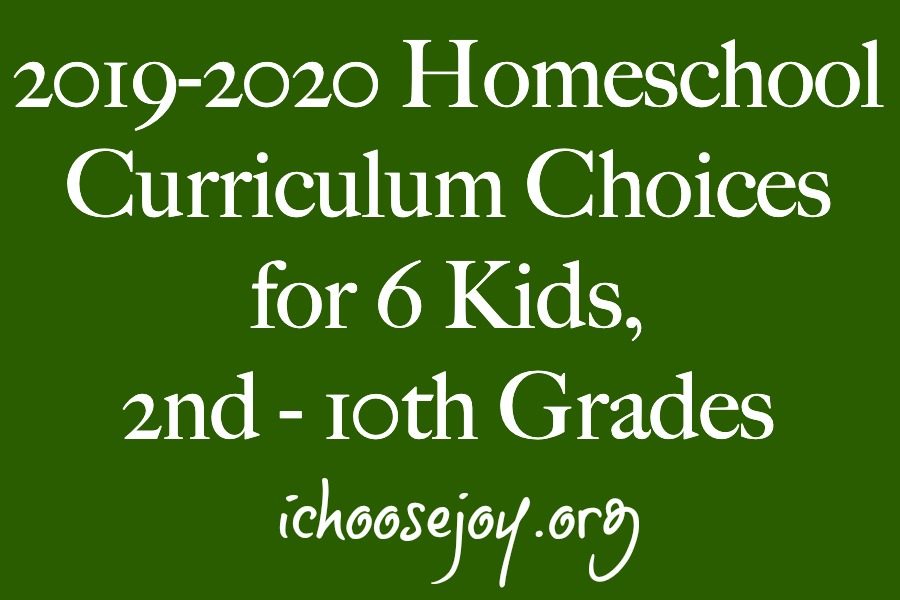 2019-2020 Homeschool Curriculum Choices for 6 Kids, 2nd - 10th Grades