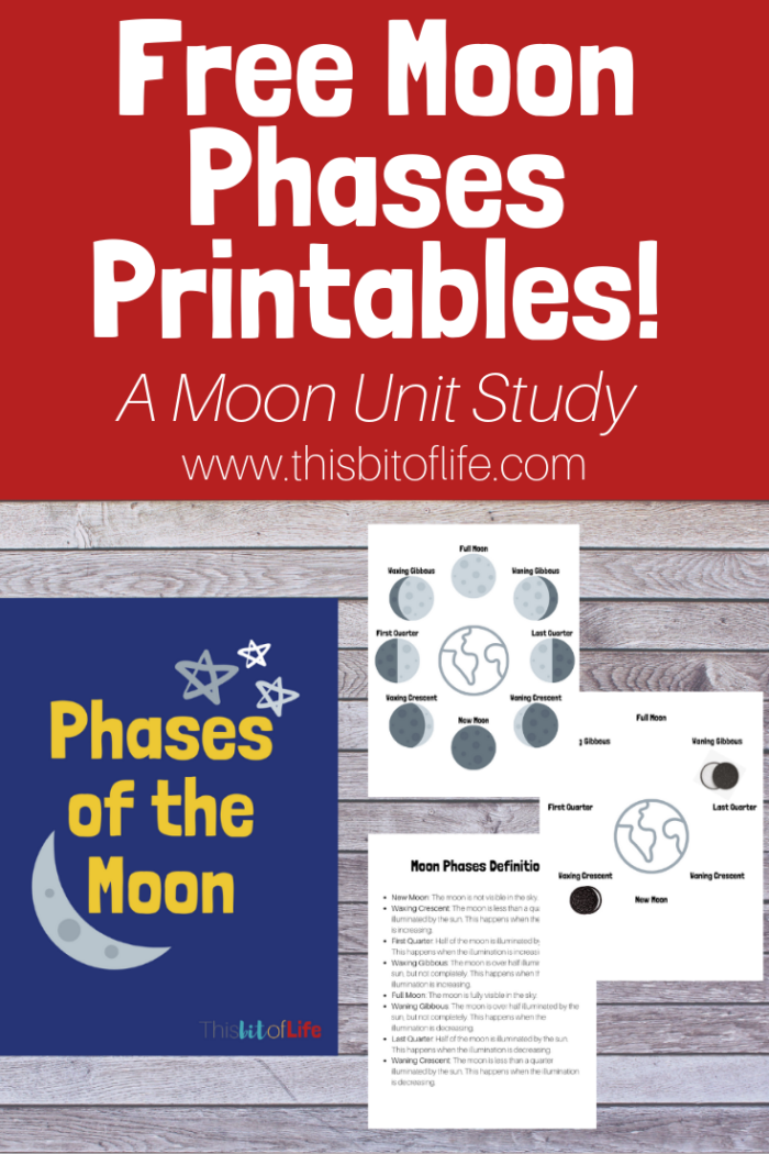 Free Moon Phases Printables. 