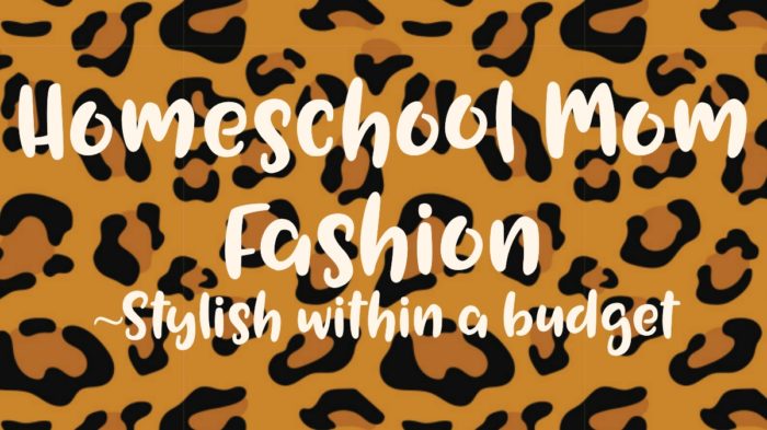 Homeschool Mom Fashion ~ Stylish within a budget 