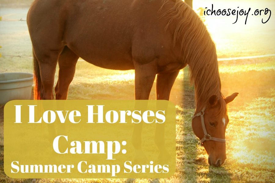I Love Horse Camp- Summer Camp Series