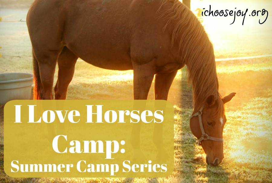 I Love Horses Camp: Summer Camp Series