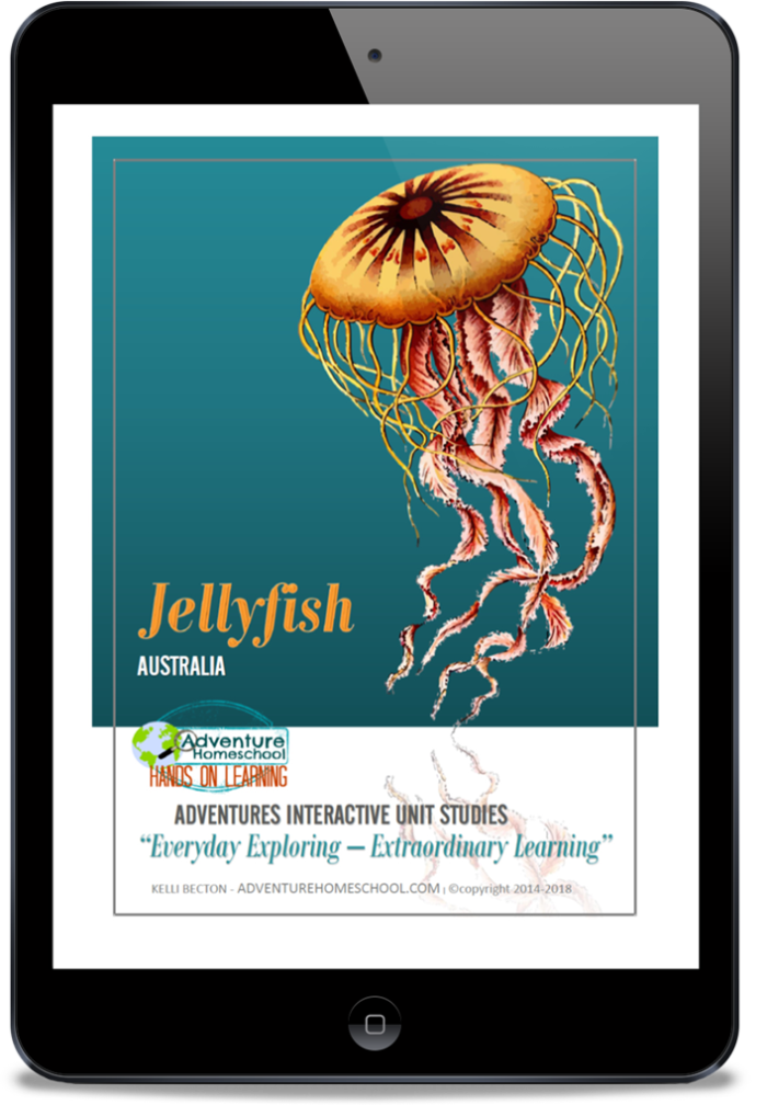 Find "Jellyfish" in the Homeschool Grab Bag 2020!