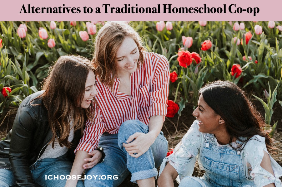 Alternatives to a Traditional Homeschool Co-op When a Co-op Isn’t An Option