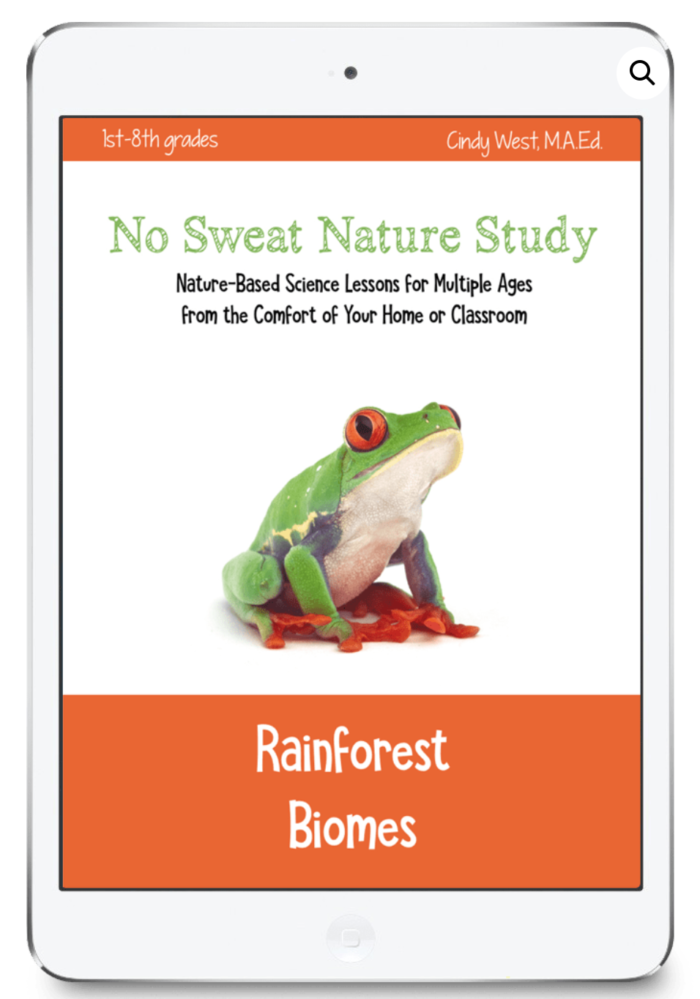 No Sweat Nature Study Rainforest Biomes