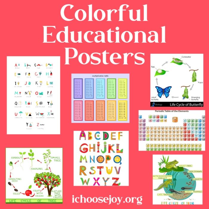 Colorful Educational Posters (alphabet, multiplication, and science)