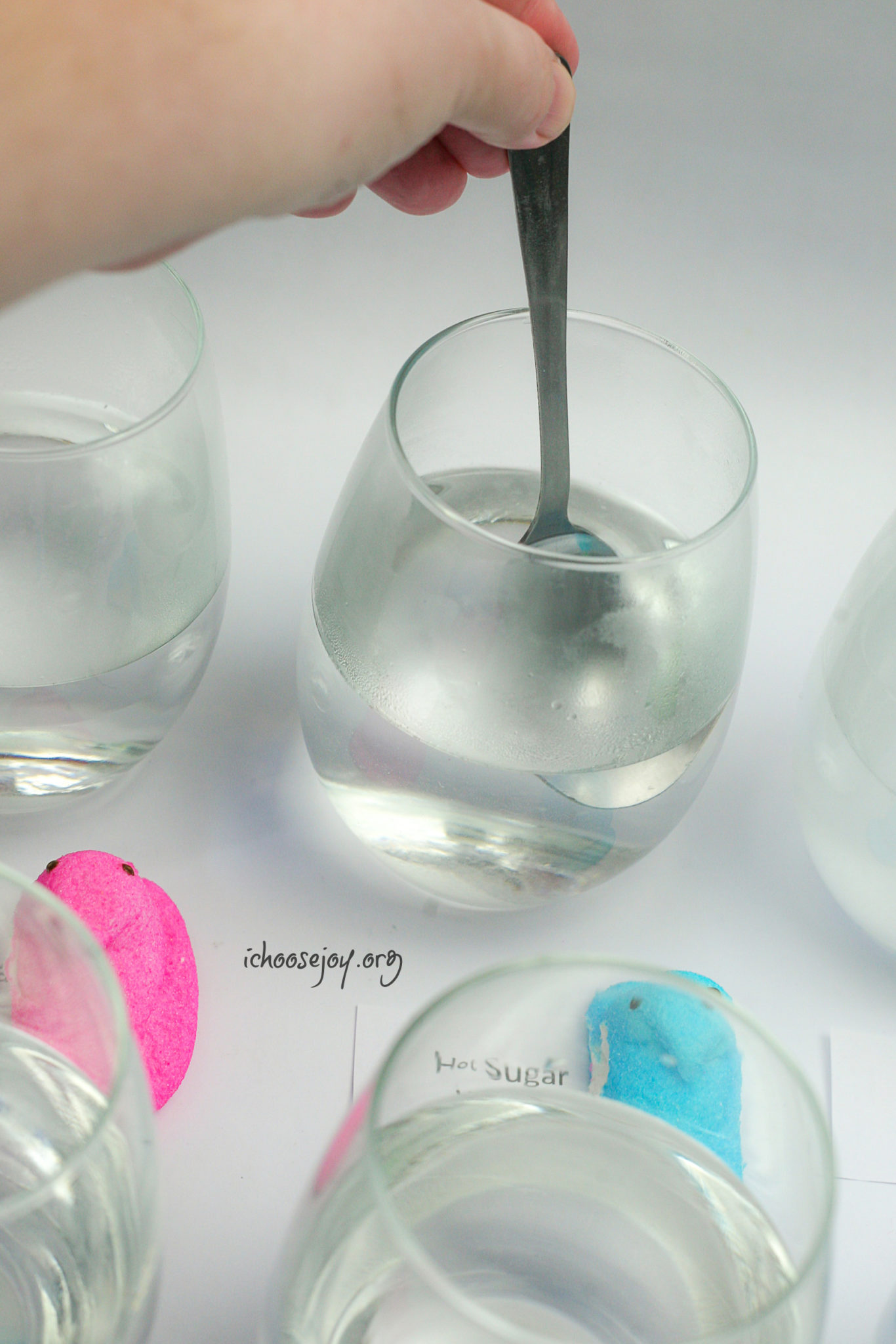 dissolving chemistry experiment with peeps