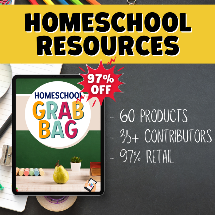 Homeschool Grab Bag 2021