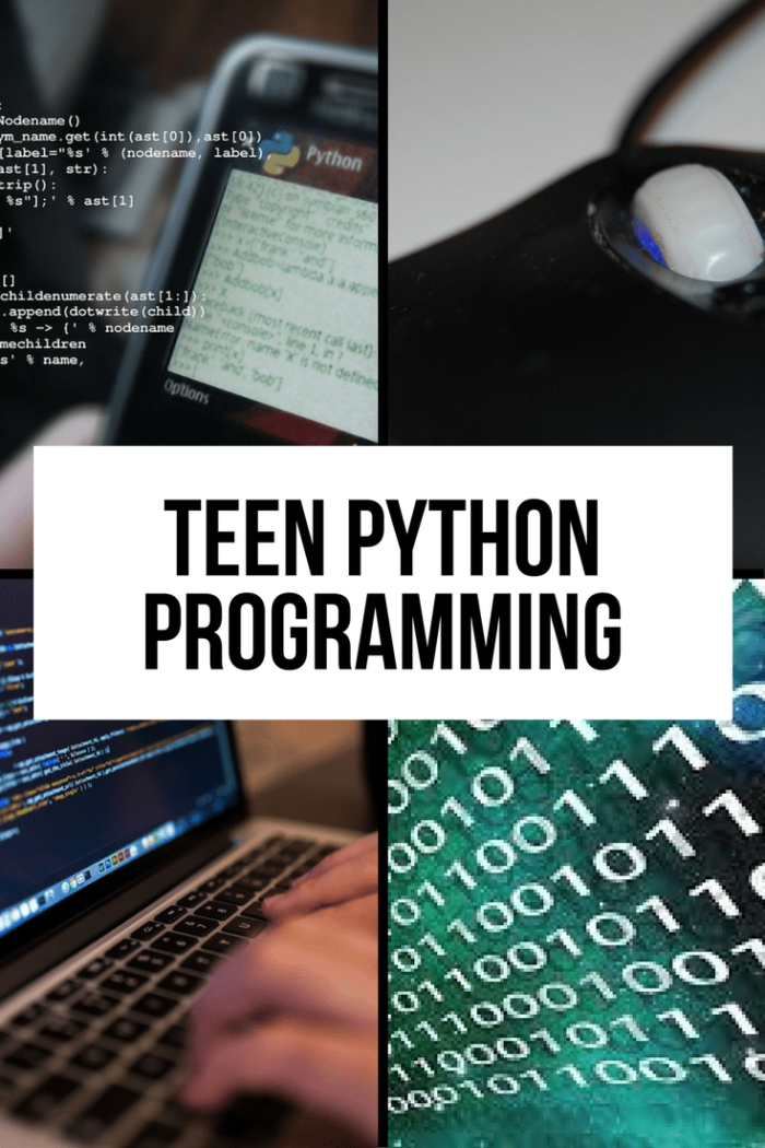 Python Programming online course for teens