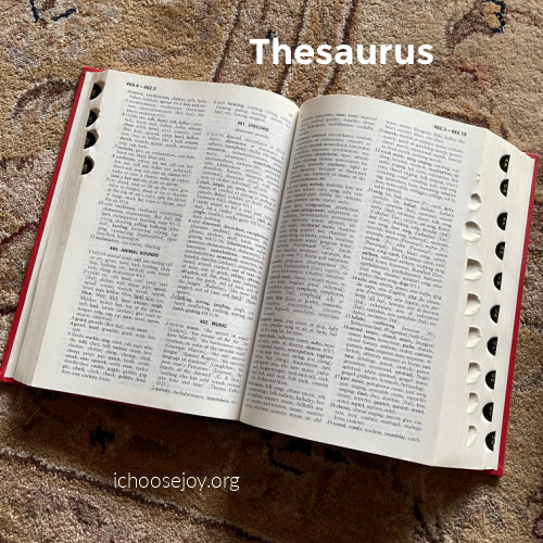 Thesaurus for WriteShop 1