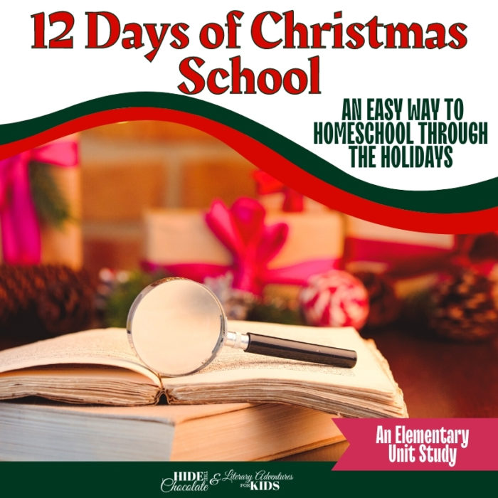 12 Days of Christmas School