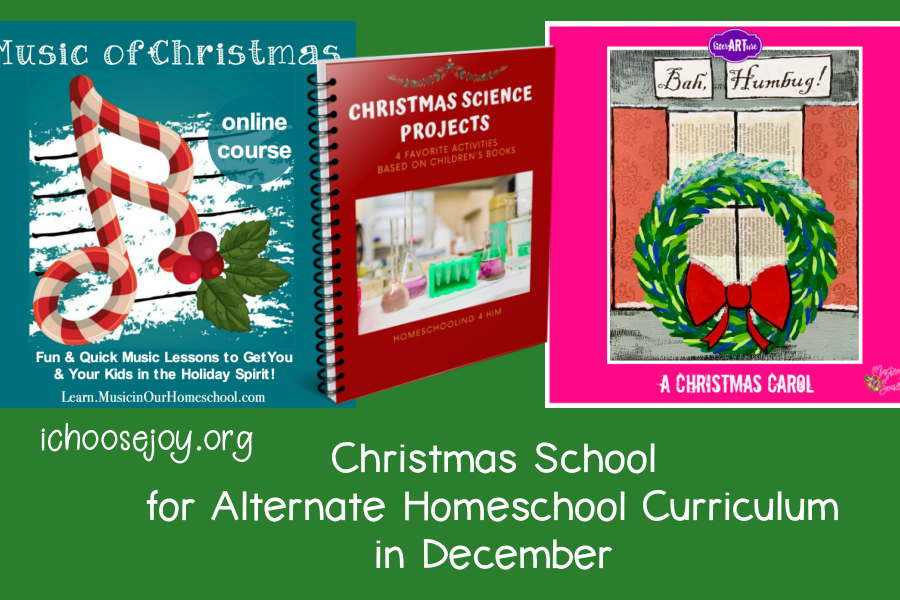 Christmas School for Alternate Homeschool Curriculum in December