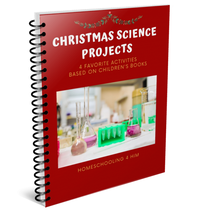 Christmas Science Projects
