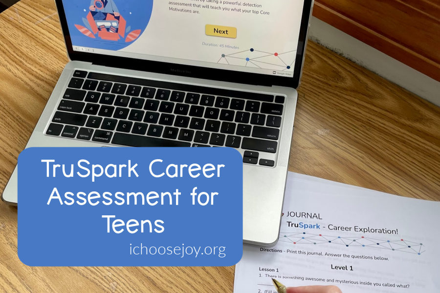TruSpark Curriculum for Career Assessment for Teens