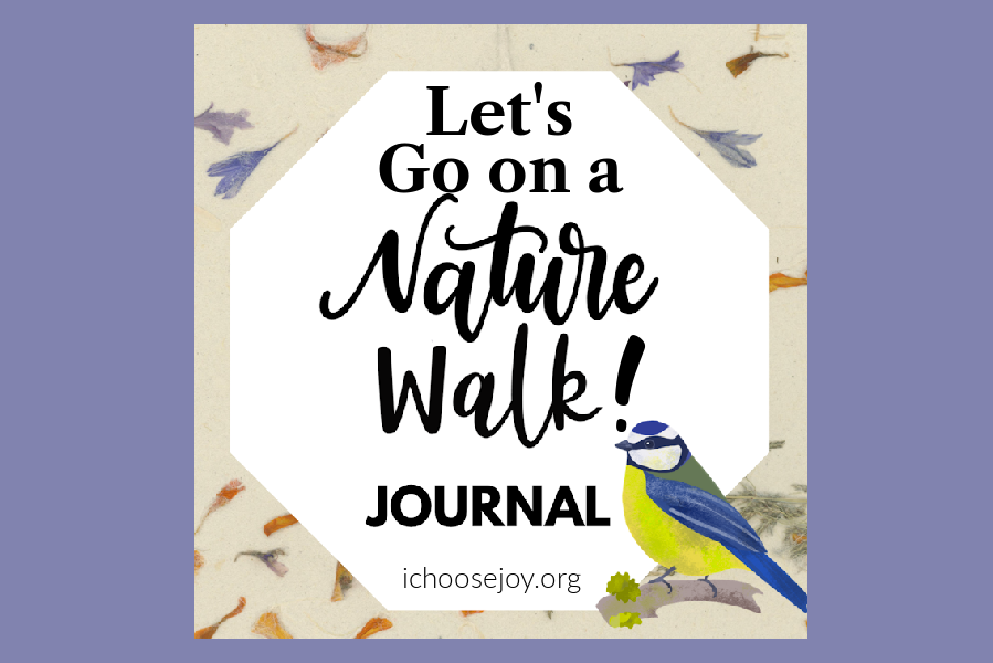 Let's Go on a Nature Walk journal