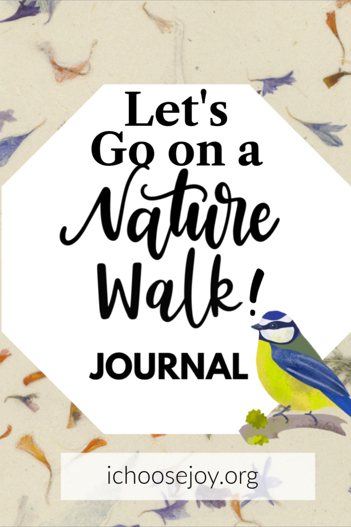 Let's Go on a Nature Walk journal