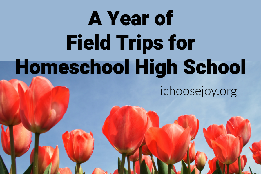A Year of Field Trips for Homeschool High School