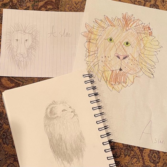 Aslan drawings from A Year With Lewis and Tolkien (The Lion, the Witch, and the Wardrobe)