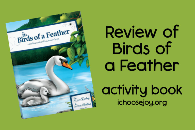 Review of Birds of a Feather activity book