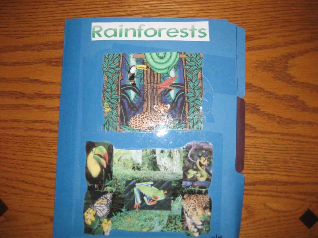 Rainforest lapbook cover
