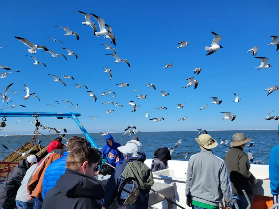 Marine Science Biology Camp for Homeschool Families