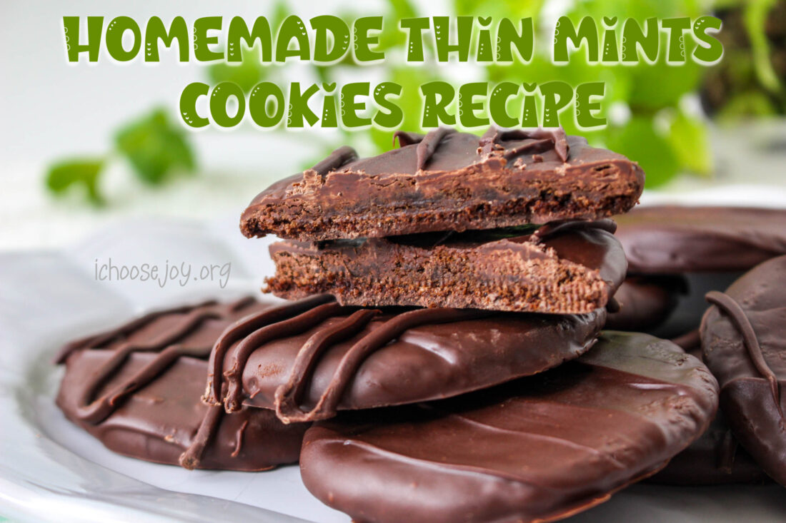Homemade Thin Mint Cookies