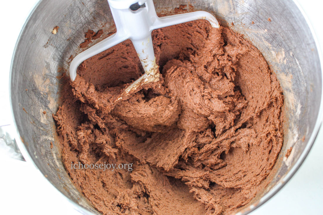 Homemade Thin Mints Girl Scout Cookies recipe