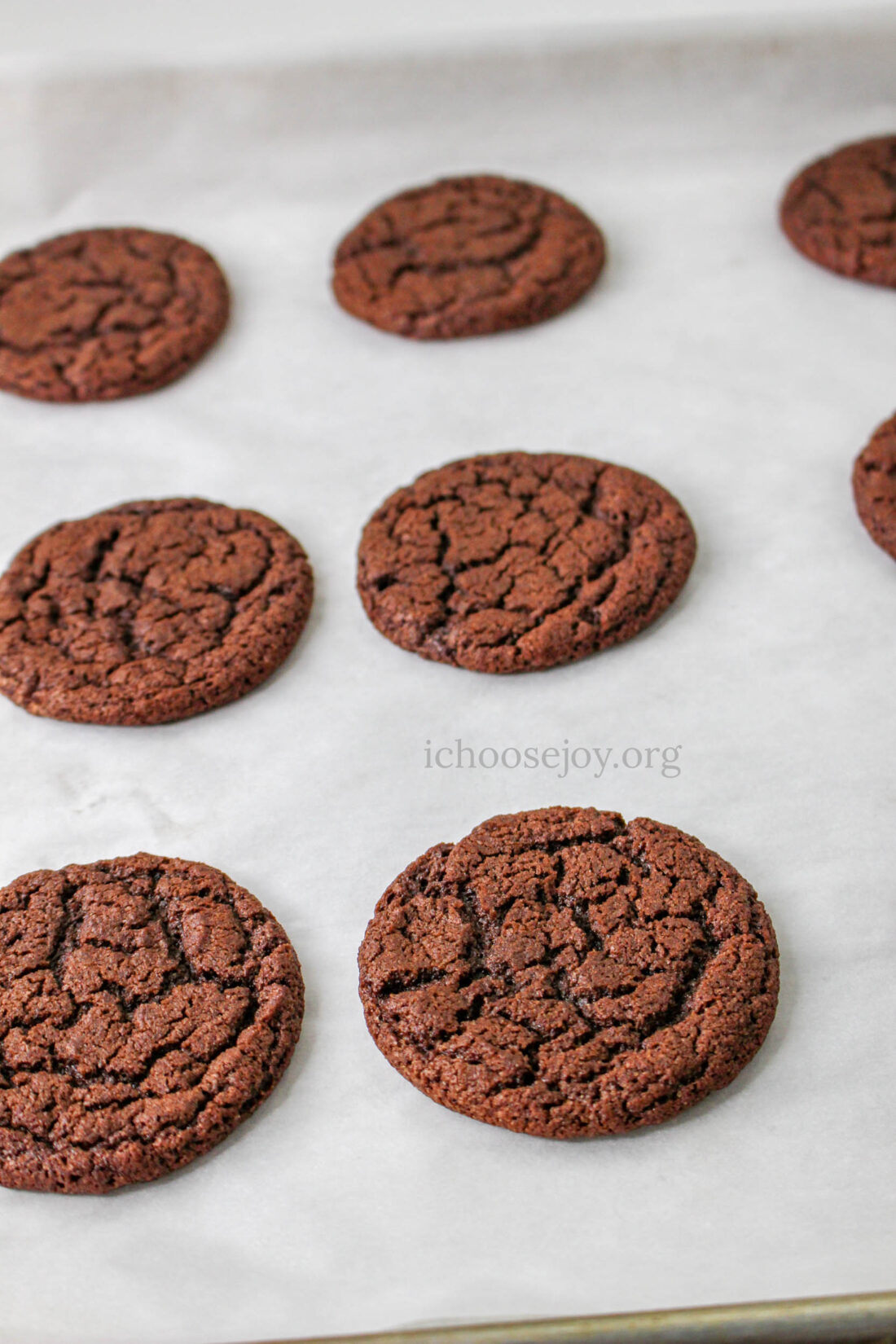 Homemade Thin Mints Girl Scout Cookies recipe