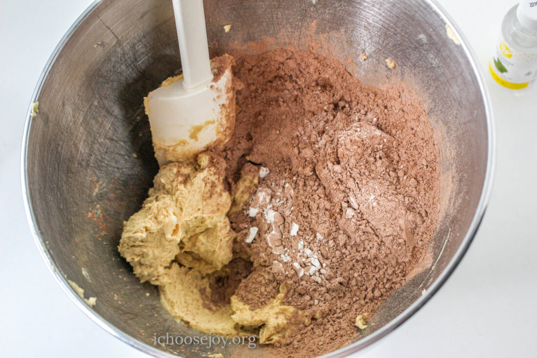 Homemade Thin Mints Girl Scout Cookies recipe