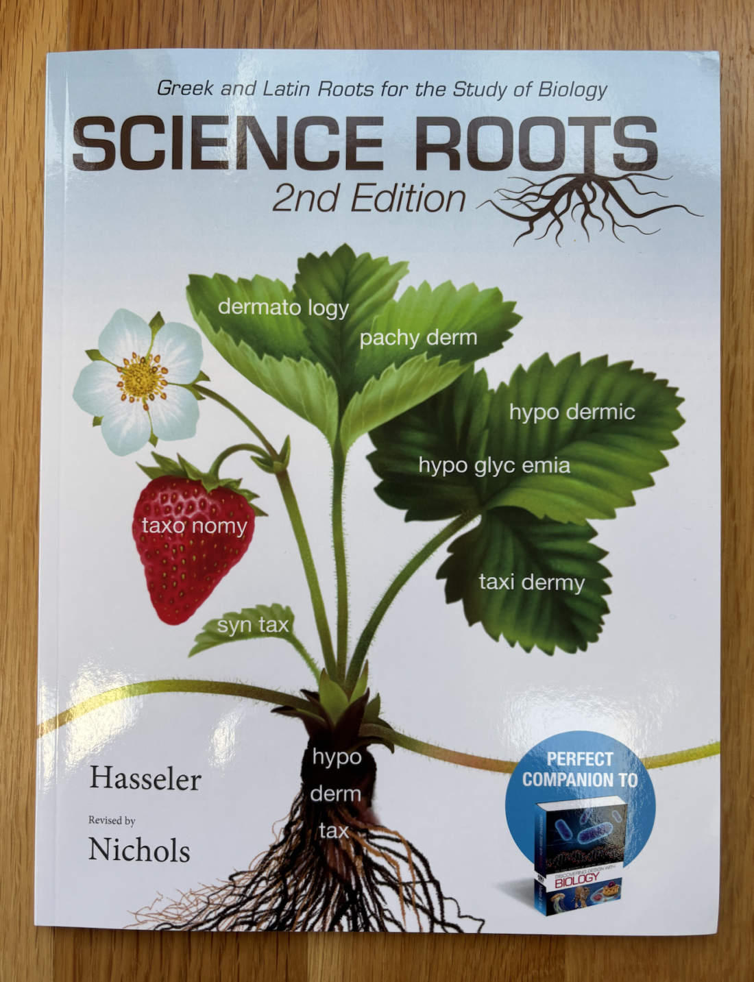 Berean Builders Earth Science textbook curriculum review